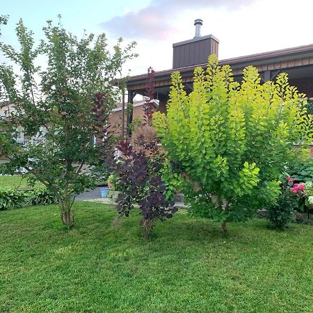 Havre Chez Guylaine Daire Laval Dış mekan fotoğraf