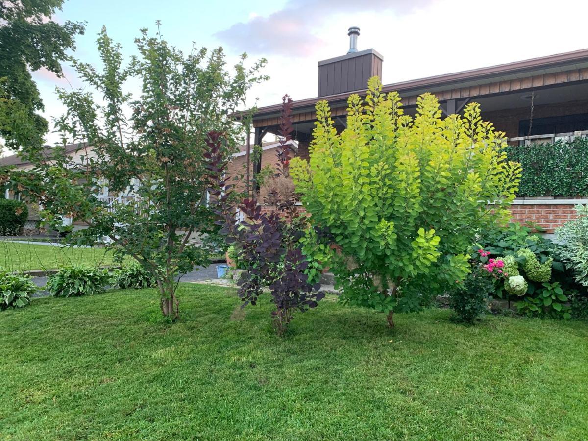 Havre Chez Guylaine Daire Laval Dış mekan fotoğraf